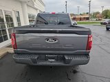 New 2025 Ford F150 XLT w/ Equipment Group 302A MID image 5