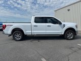 Used 2022 Ford F150 XLT w/ Equipment Group 302A High image 2