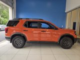 New 2026 Honda Passport TrailSport Elite image 5