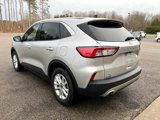 Used 2020 Ford Escape SE image 6
