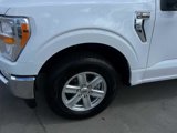 Certified 2022 Ford F150 XLT w/ Equipment Group 301A Mid image 3
