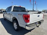 Certified 2023 Ford F150 XLT w/ Equipment Group 301A Mid image 5