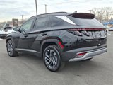 New 2025 Hyundai Tucson Limited image 3