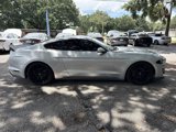 Used 2019 Ford Mustang Coupe w/ Equipment Group 101A image 6