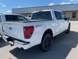 New 2025 Ford F150 XLT image 3