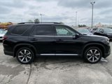 New 2025 Honda Pilot Touring image 2