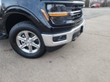 New 2025 Ford F150 XLT w/ Equipment Group 302A MID image 2