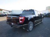 Certified 2023 Ford F150 King Ranch w/ Equipment Group 601A High image 5