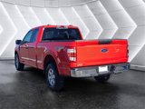 Used 2022 Ford F150 XL w/ Equipment Group 101A High image 3
