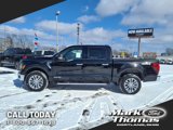 New 2025 Ford F150 XLT w/ Equipment Group 303A High image 2