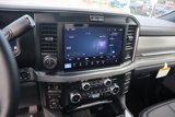 New 2026 Ford F250 Platinum image 5