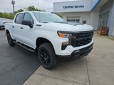 New 2025 Chevrolet Silverado 1500 Custom Trail Boss w/ Turbomax Blackout Package image 4