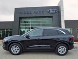 Certified 2024 Ford Escape Active image 4