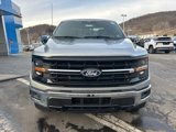 New 2025 Ford F150 XLT w/ Equipment Group 302A MID image 2