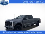 New 2025 Ford F250 XLT w/ Black Appearance Package image 3