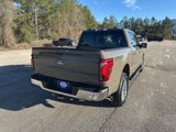 New 2025 Ford F150 Lariat w/ Equipment Group 501A Mid image 5