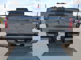 New 2025 Ford F150 STX image 5