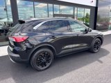 Used 2022 Ford Escape SE w/ Convenience Package image 2