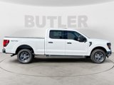 New 2025 Ford F150 XLT w/ Equipment Group 302A MID image 6
