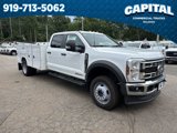New 2025 Ford F550 4x4 Crew Cab Super Duty image 2