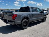 New 2025 Ford F150 STX w/ STX Black Appearance Package image 3