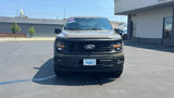 New 2025 Ford F150 STX w/ Equipment Group 201A FX4 image 2