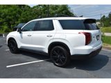 New 2025 Hyundai Palisade XRT image 2