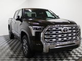 New 2025 Toyota Tundra 1794 Edition image 3