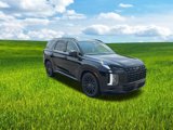 New 2025 Hyundai Palisade Calligraphy image 2