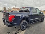 New 2025 Ford F150 XLT w/ Equipment Group 302A MID image 6