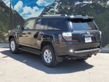 Certified 2024 Toyota 4Runner SR5 image 6