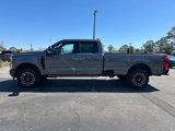 New 2025 Ford F250 Platinum image 2