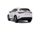 New 2026 Lexus NX 350h AWD w/ Premium Package image 3