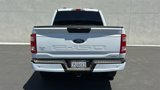 Certified 2023 Ford F150 XL w/ STX Appearance Package image 3