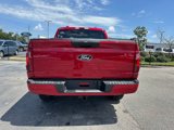 New 2025 Ford F150 STX image 4