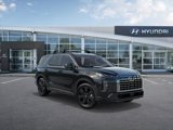 New 2025 Hyundai Palisade XRT image 2