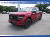 New 2025 Ford F150 STX image 2