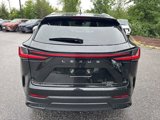 New 2026 Lexus NX 350 AWD w/ Premium Package image 5