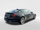New 2025 Cadillac CT5 Premium Luxury w/ Sun And Sound Package image 4