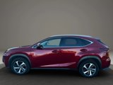 Used 2019 Lexus NX 300 F Sport image 4