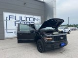 New 2025 Ford F150 STX image 4
