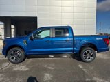 New 2025 Ford F150 STX w/ Equipment Group 200A image 2