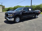 Used 2023 Ford F150 XLT w/ Equipment Group 301A Mid image 3