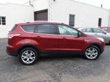 Used 2016 Ford Escape Titanium image 4