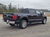 New 2025 Ford F150 XLT w/ Equipment Group 303A High image 6