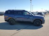 New 2025 Hyundai Santa Fe Calligraphy image 3