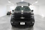 New 2025 Ford F150 Platinum w/ Equipment Group 702A High image 3