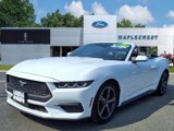 Certified 2024 Ford Mustang Premium image 2