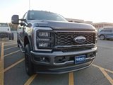 New 2025 Ford F250 XL image 3
