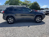 Used 2014 Jeep Cherokee Trailhawk w/ Technology Group image 4